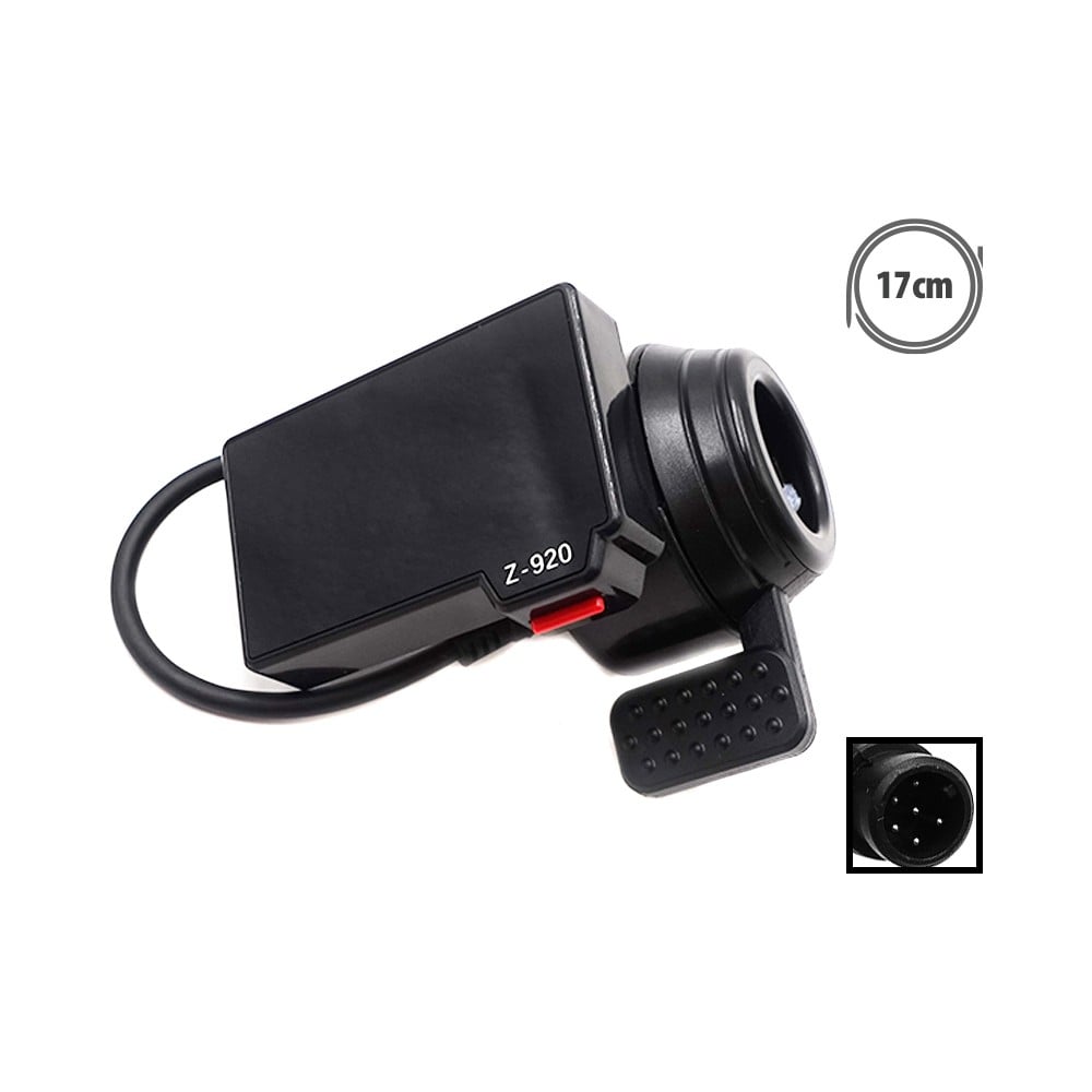 Display Z920 cu Acceleratie 6 Pini