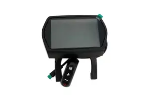 Display Kugoo G2 Pro