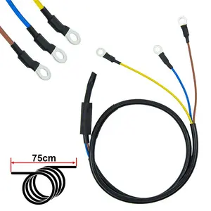 Cablu Motor Ninebot Seria F D